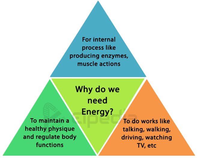 Why do we need energy?