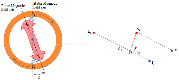 Synchronous motor on No-load with losses