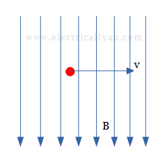 Dynamically induced EMF_2